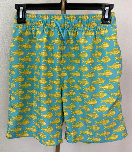 Crewcuts Swimming Trunks - Youth 12 (Inner Lining Cut Out)