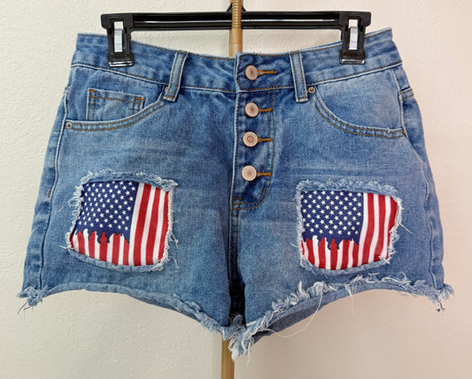 USA Shorts - Small
